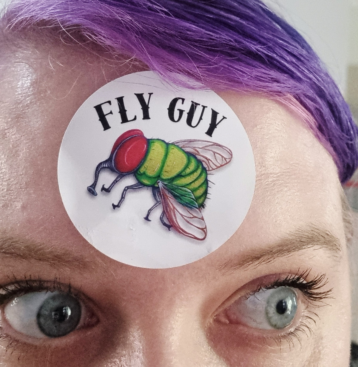 FLY GUY STICKER